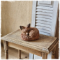 Preview: Schlafender Fuchs