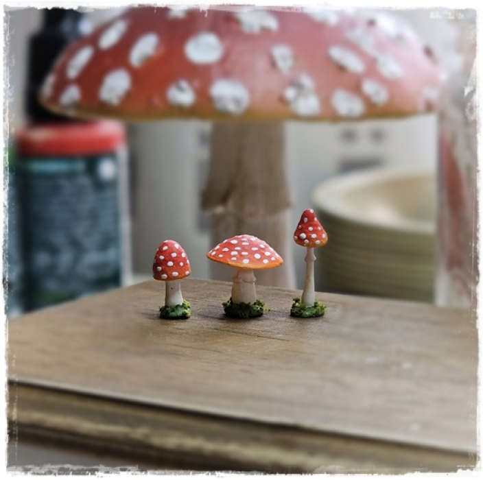 3 Fliegenpilze